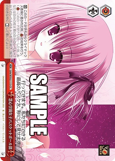 慧心学園女子バスケットボール部 【Grk/WS02/113CC】